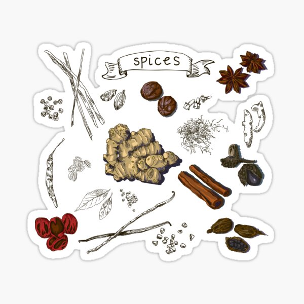 Item preview, illustration background with hand drawn spices designed and sold by Olga Berlet.