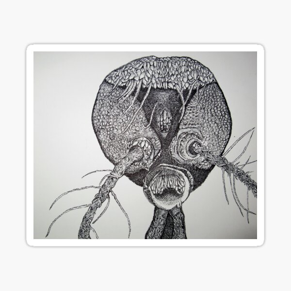 mosquito head Sticker