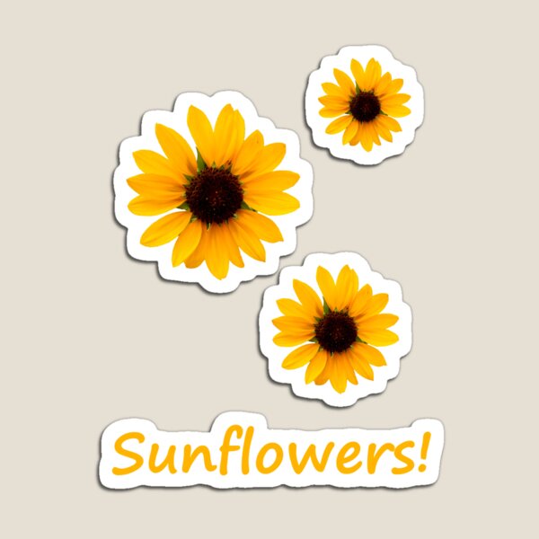 Sunflowers! Magnet