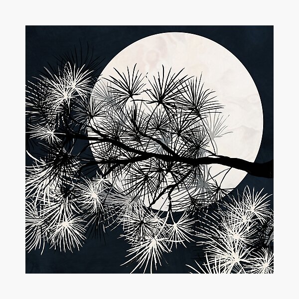 Pine Tree with Moon Graphic black and white Print Photographic Print
