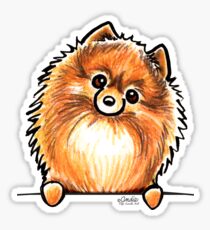 Red Pomeranian Paws Up Sticker