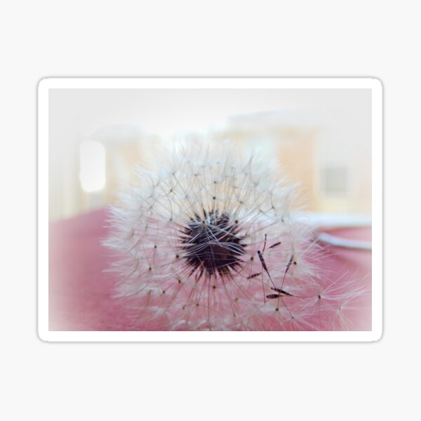 Item preview, Puffball by the Window designed and sold by Sandra  Aguirre.