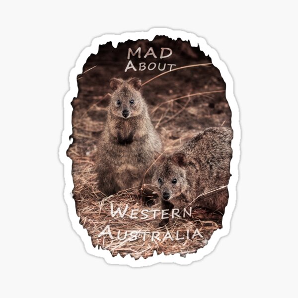 Quokkas - MAD About Western Australia Sticker