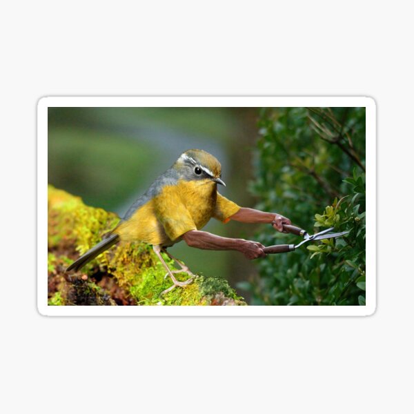 Trimming the hedge Sticker