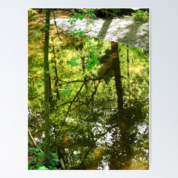 Reflections Poster