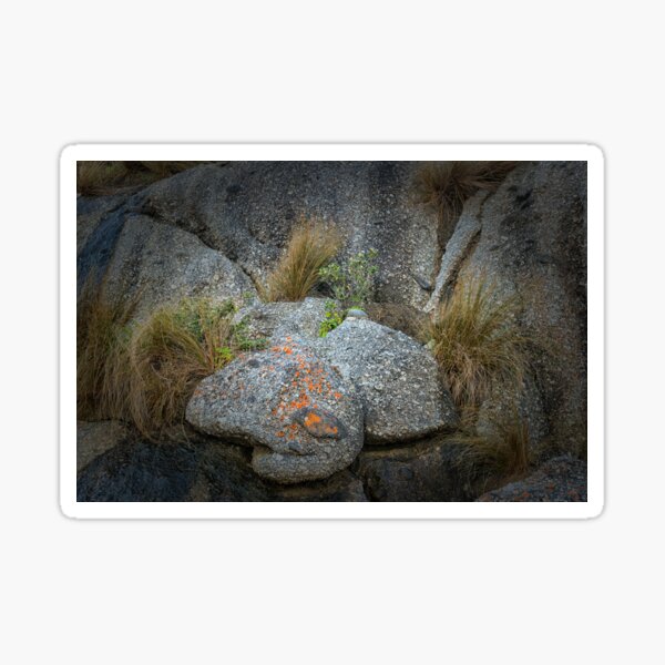 Item preview, Grasses and Rock designed and sold by photograham.