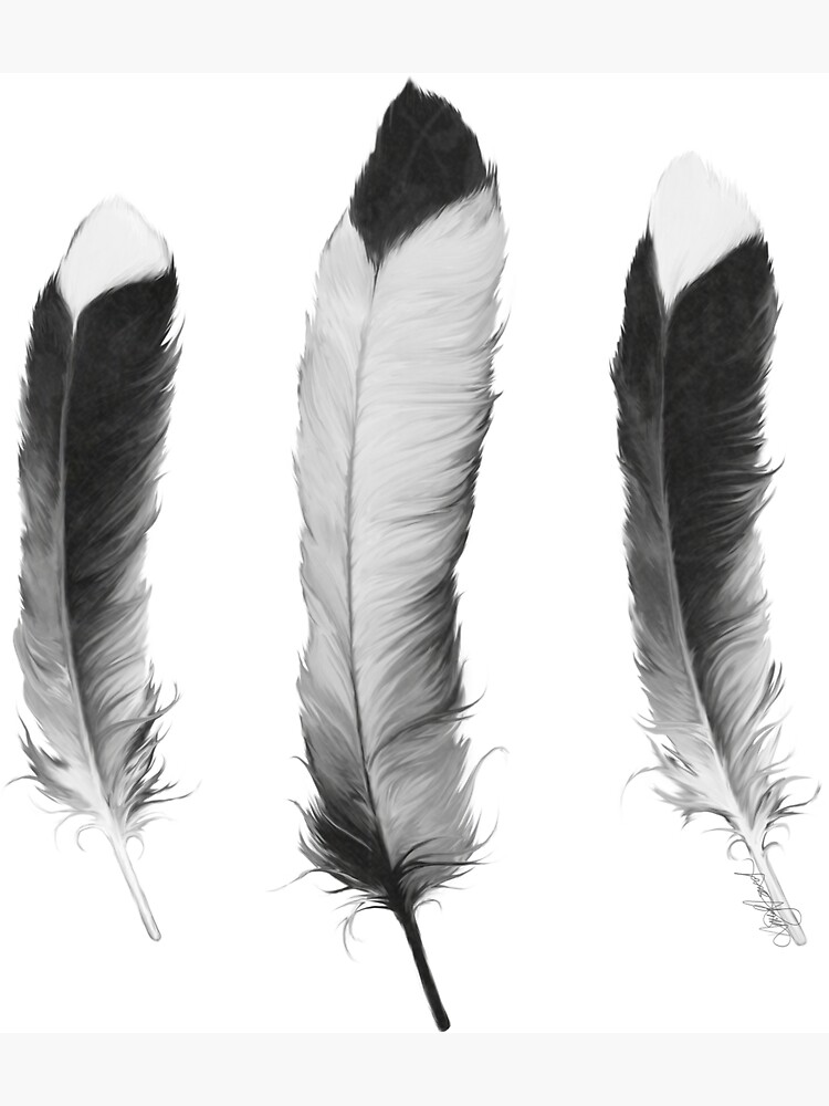 Feathers Sketch by AmyHamilton