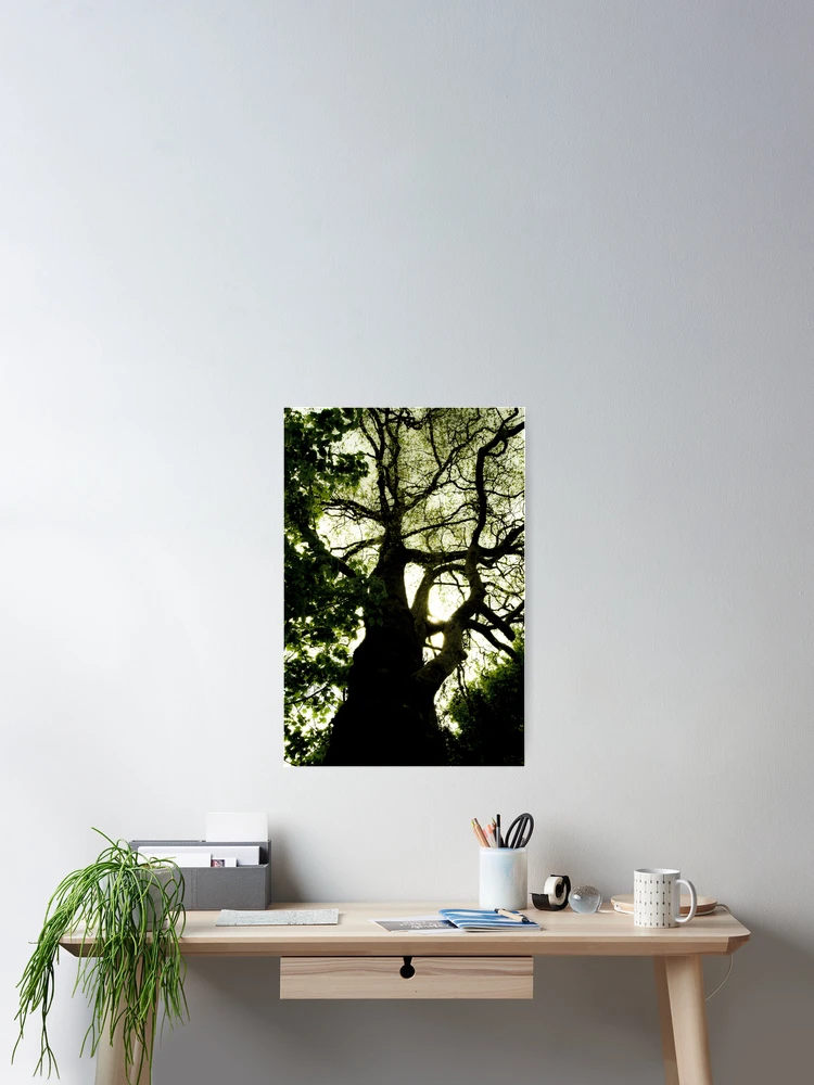 Thumbnail 2 of 3, Poster, Tree filter designed and sold by Sortiel.