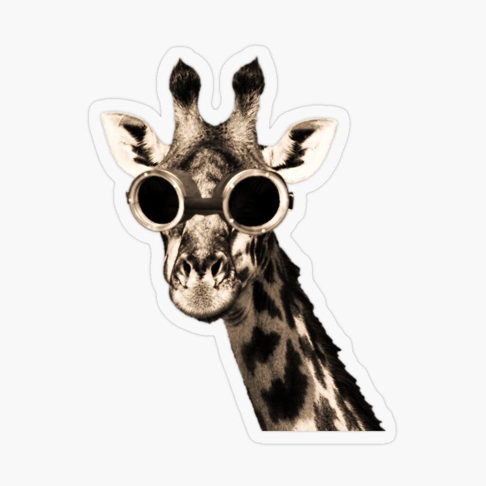 tst,small,845x845-pad,