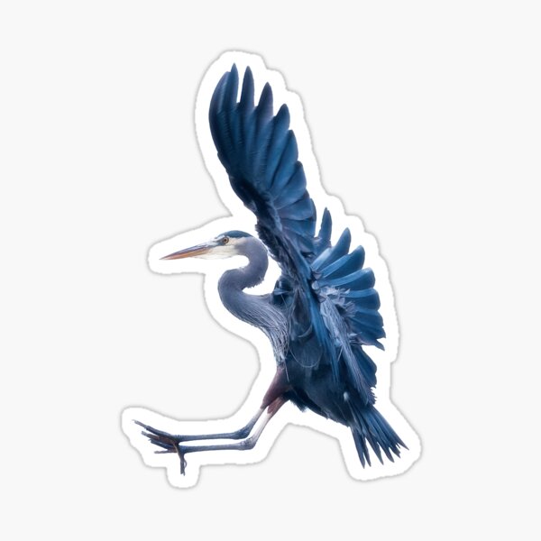 Heron Landing, Mayne Island Sticker