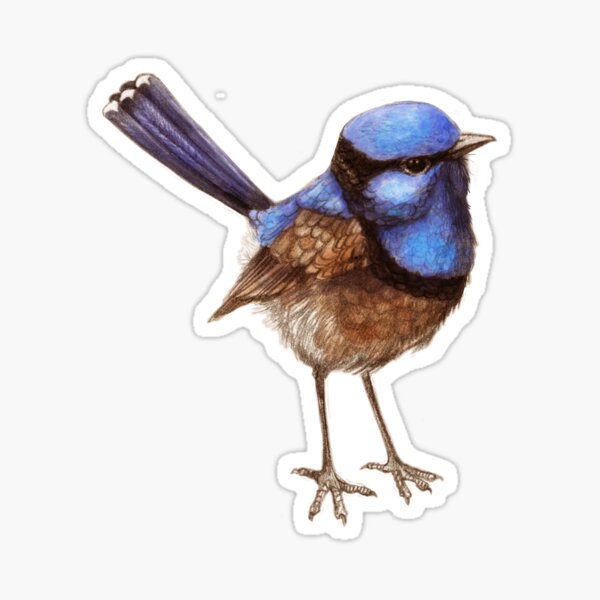 Blue Wrens, Russet et Blanc Sticker