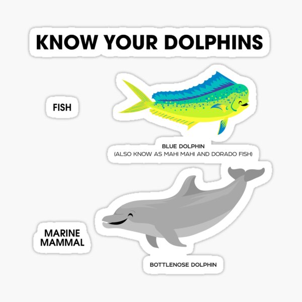 Image of Know Your Dolphins-1