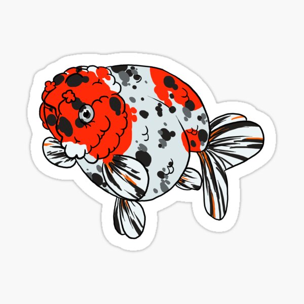 Vista previa del artículo con la obra «Goldfish de lujo - Ranchu», diseñado y vendido por thefianna.