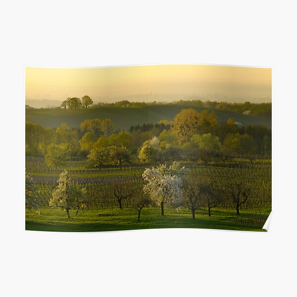 Paysage d'Alsace au printemps Poster