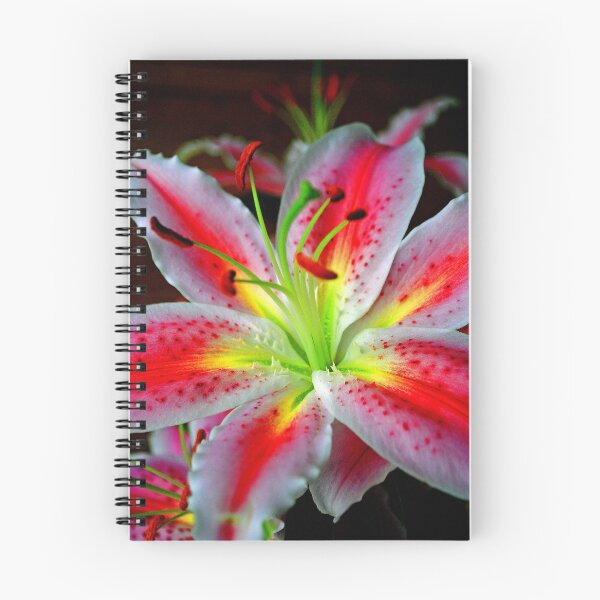 Item preview, Pink Lily Lilium Herbaceous Flowering Plants designed and sold by AndyEvansPhotos.