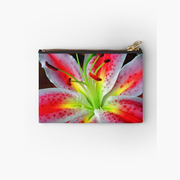 Item preview, Pink Lily Lilium Herbaceous Flowering Plants designed and sold by AndyEvansPhotos.