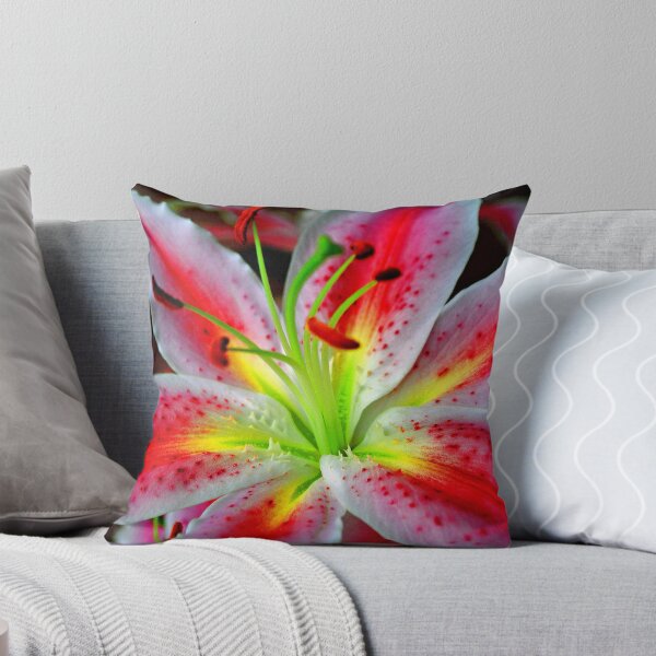 Item preview, Pink Lily Lilium Herbaceous Flowering Plants designed and sold by AndyEvansPhotos.