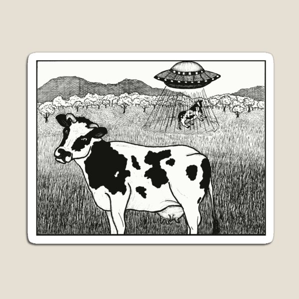 Alien Abduction Magnet