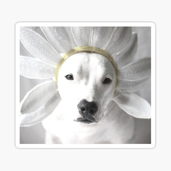 Item preview, Pittie Flower designed and sold by Believeabull.