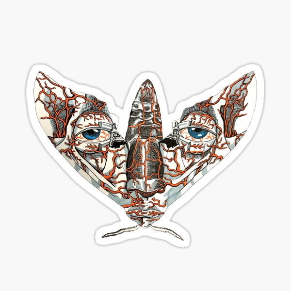 Face Mimic Moth Sticker