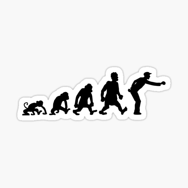 Petanque Jeu De Boules Darwin Evolution Sticker By Huggymauve Redbubble
