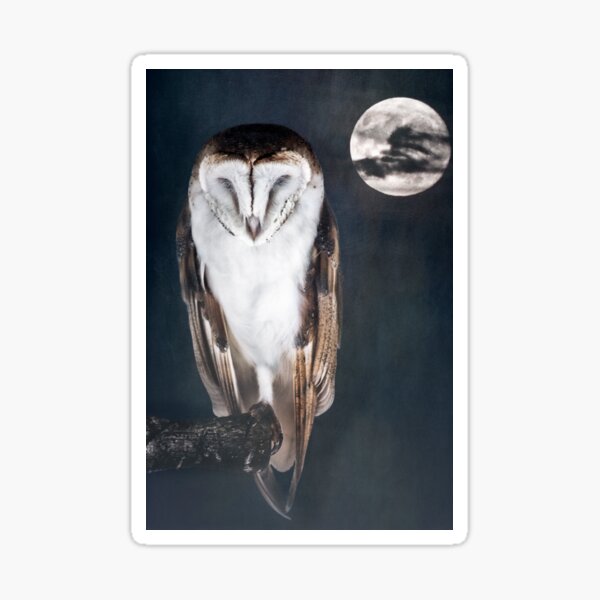 Artful Owl Sticker