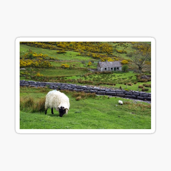 Stone Cottage Gorse and Sheep Sticker