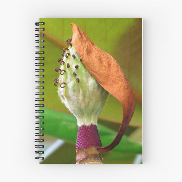Item preview, Oh, Good Grief! designed and sold by Jean Gregory Evans.