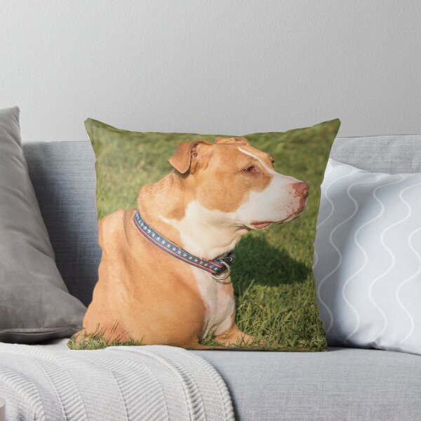 Item preview, Shelby At Home designed and sold by Thomasyoung.