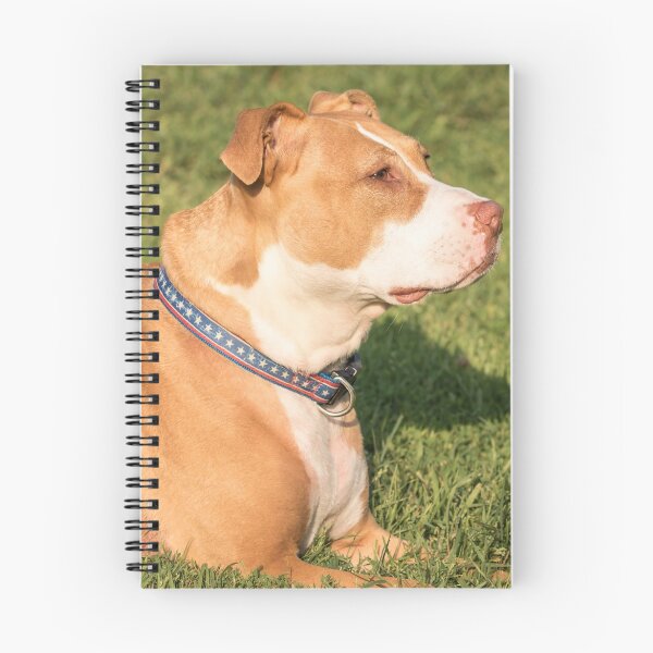 Item preview, Shelby At Home designed and sold by Thomasyoung.