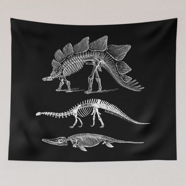 Item preview, Dinosaur evolution designed and sold by emphatic.