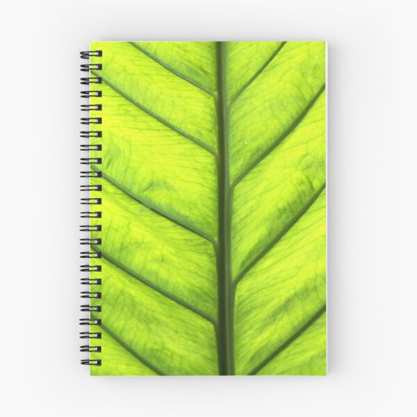 Item preview, Spring Leaf designed and sold by Paula Bielnicka.