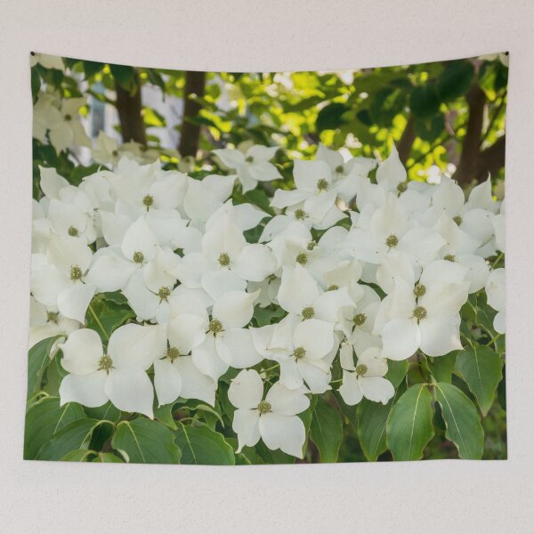 Item preview, Because Spring - Dogwoods Blooms   designed and sold by Georgia Mizuleva.