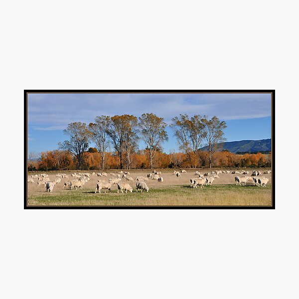 MacKenzie Country Photographic Print