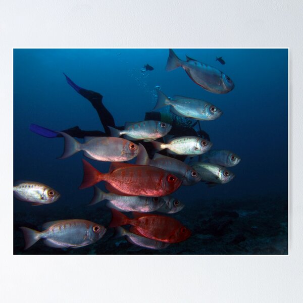 Item preview, Sodwana Bay, South Africa designed and sold by Sean Elliott.