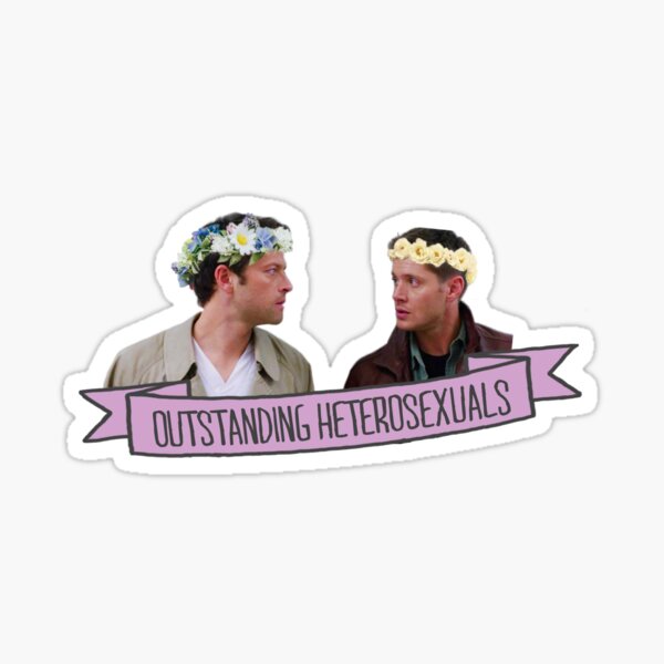 Hervorragende Heterosexuelle Sticker