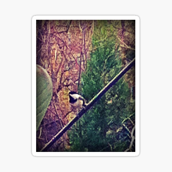 The Chickadee's Perch Sticker