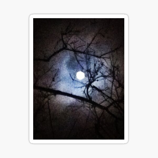 The Full Moon Between Branches Sticker