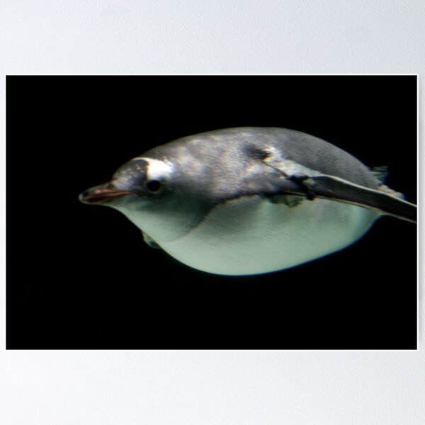 Item preview, Torpedo Run designed and sold by Hedoff.