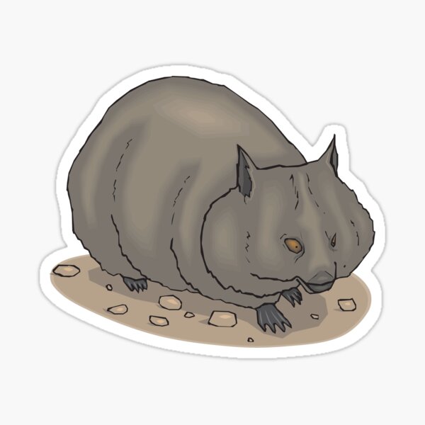Cavy 1 Sticker