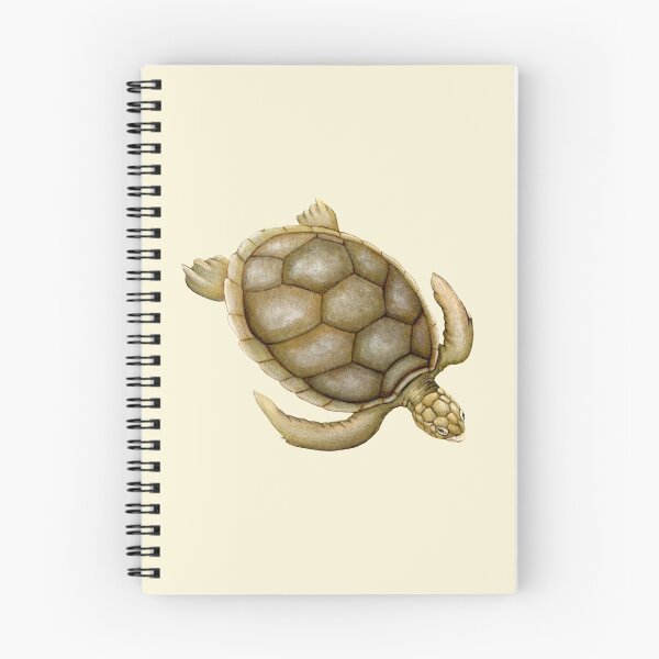 Item preview, Flatback Sea Turtle designed and sold by Suzannah Alexander.
