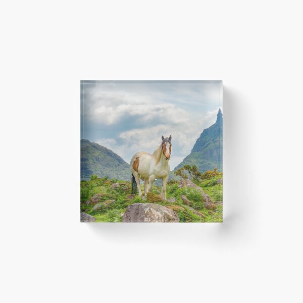 Item preview, Horse at the Gap of Dunloe, Ireland. designed and sold by KenKartes.
