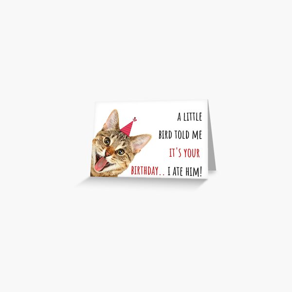 Cat meme birthday card, sticker, mug, crazy cat lady, birds, party, ideas, gifts, presents, good vibes, humor, humour, banter, puns Greeting Card