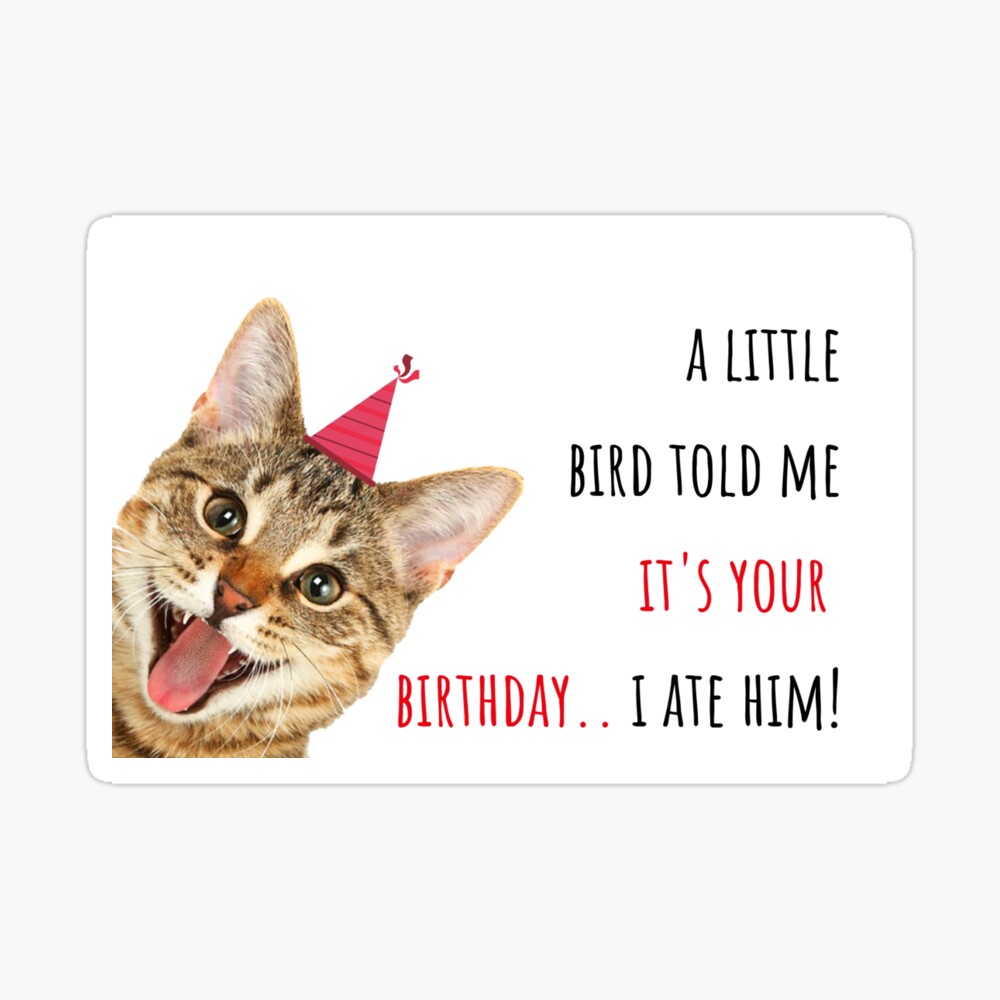 Cat Birthday Puns Birthday Cat Puns / Cat birthday card happy
