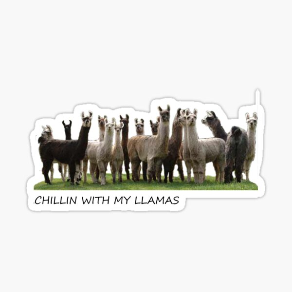 Llama Song Stickers Redbubble - happy llama sad llama song lyrics sweatshirt roblox