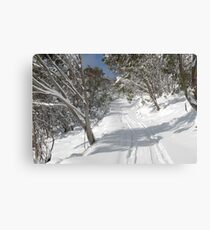 white gold Canvas Print