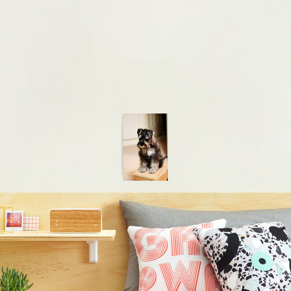 Item preview, Photographic Print designed and sold by Ravyk.