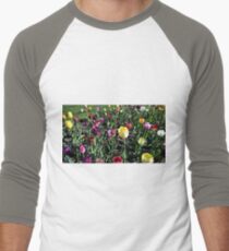 Spring Variety Tulips in Sunset Men's Baseball ¾ T-Shirt