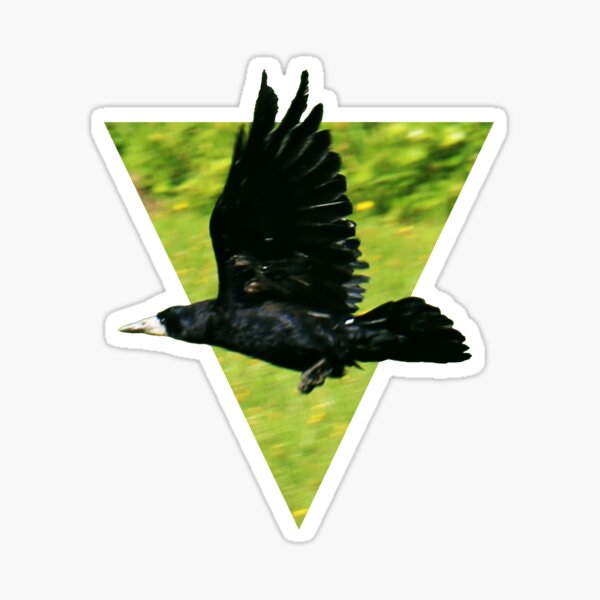 Item preview, black crow in flight designed and sold by sebmcnulty.