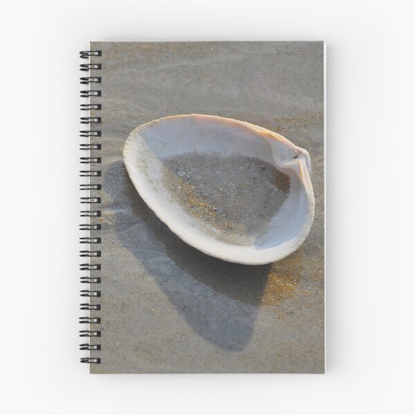Item preview, Sand Dollar designed and sold by Poete100.